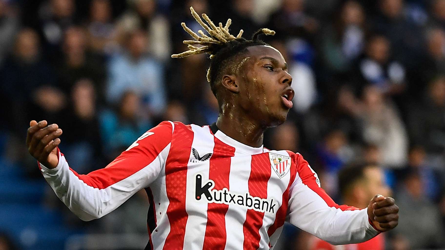 术多样性的 术多样性的